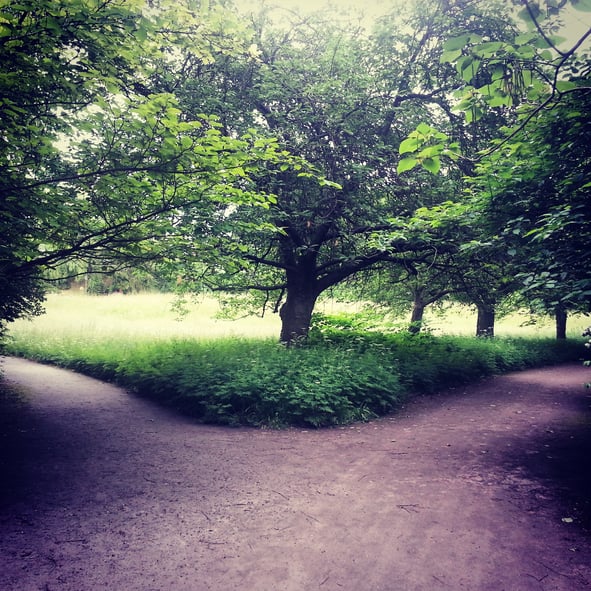 crossroads-in-park-gettyimages-592027035-2.jpg