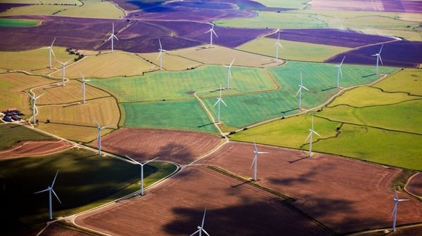 Wind turbines in a field