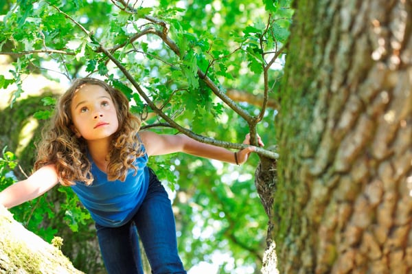 woman in trees