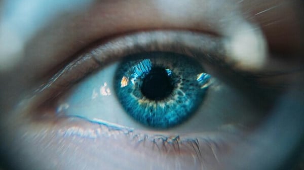 Human eye