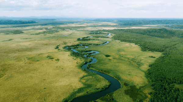 Long winding river