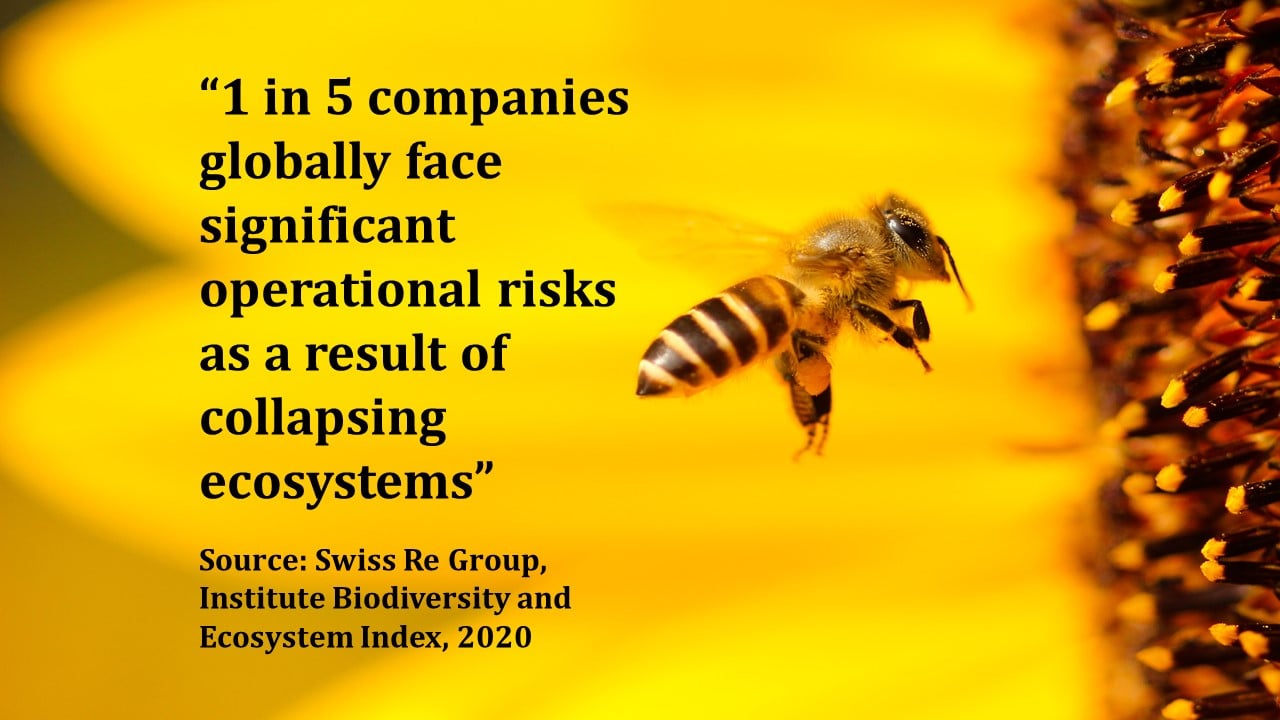 Bee-quote-3.jpg