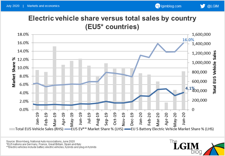 Electric vehicle share