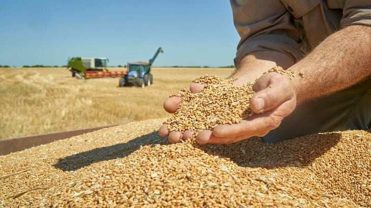 Food-farming-grain.jpg