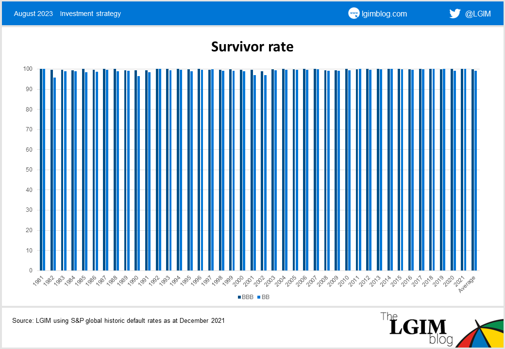 Survivor_rate.png